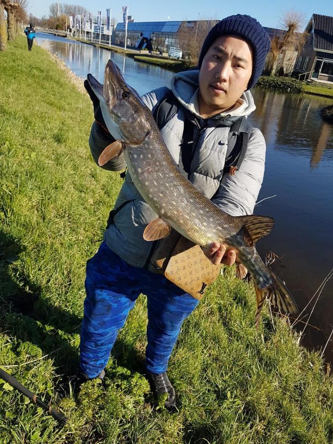 Camping De Oude Rijn Ter Aar Esterno foto
