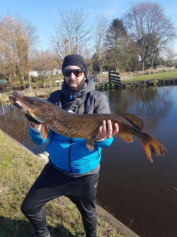 Camping De Oude Rijn Ter Aar Esterno foto